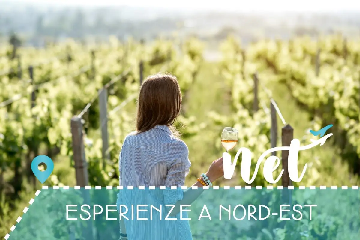 Vino in Friuli Venezia Giulia