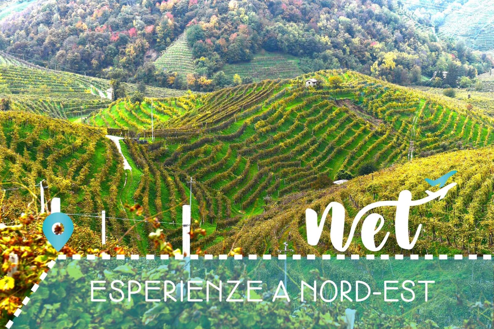 Esperienze enogastronomiche Veneto: degustazione vini e cucina tipica