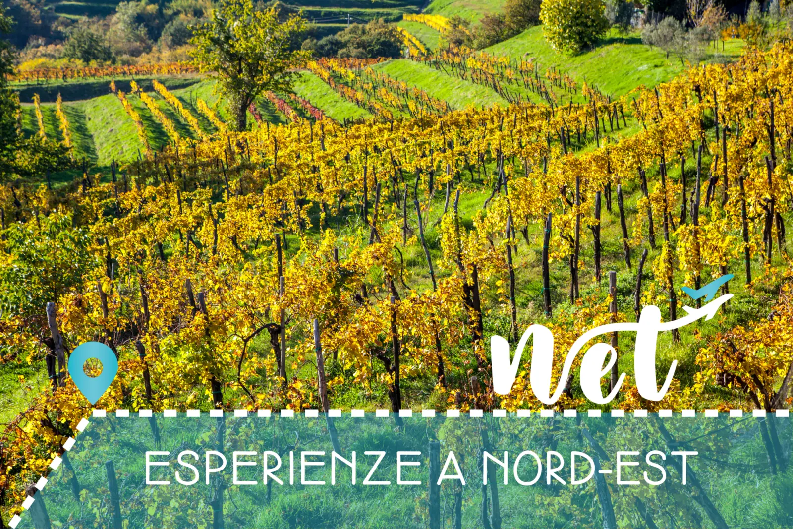 Cividale y varias degustaciones en el Collio friulano