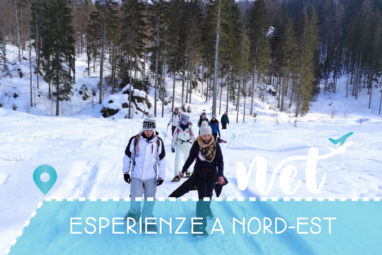 Schneeschuhwandern mit NET!