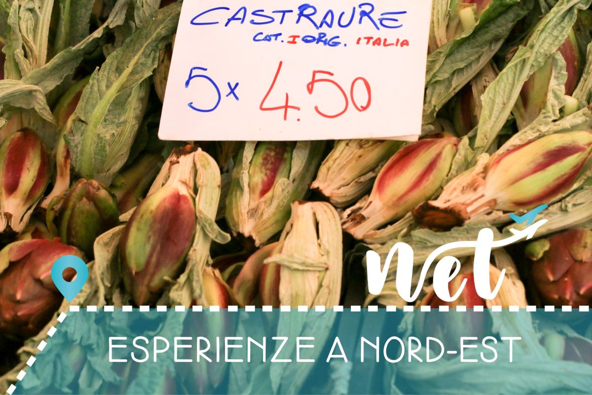 Laguna di Venezia per gruppi