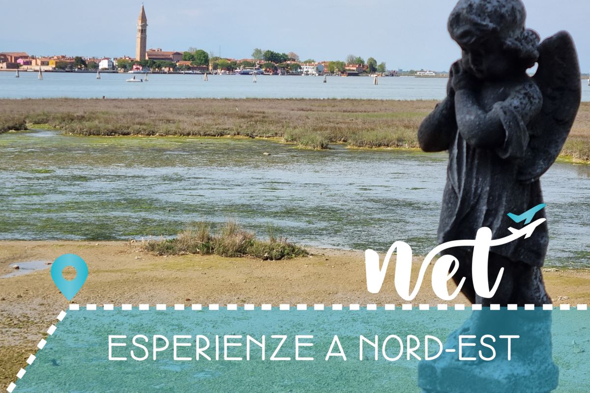 Laguna di Venezia in navigazione: Torcello, Mazzorbo, Burano e San Francesco