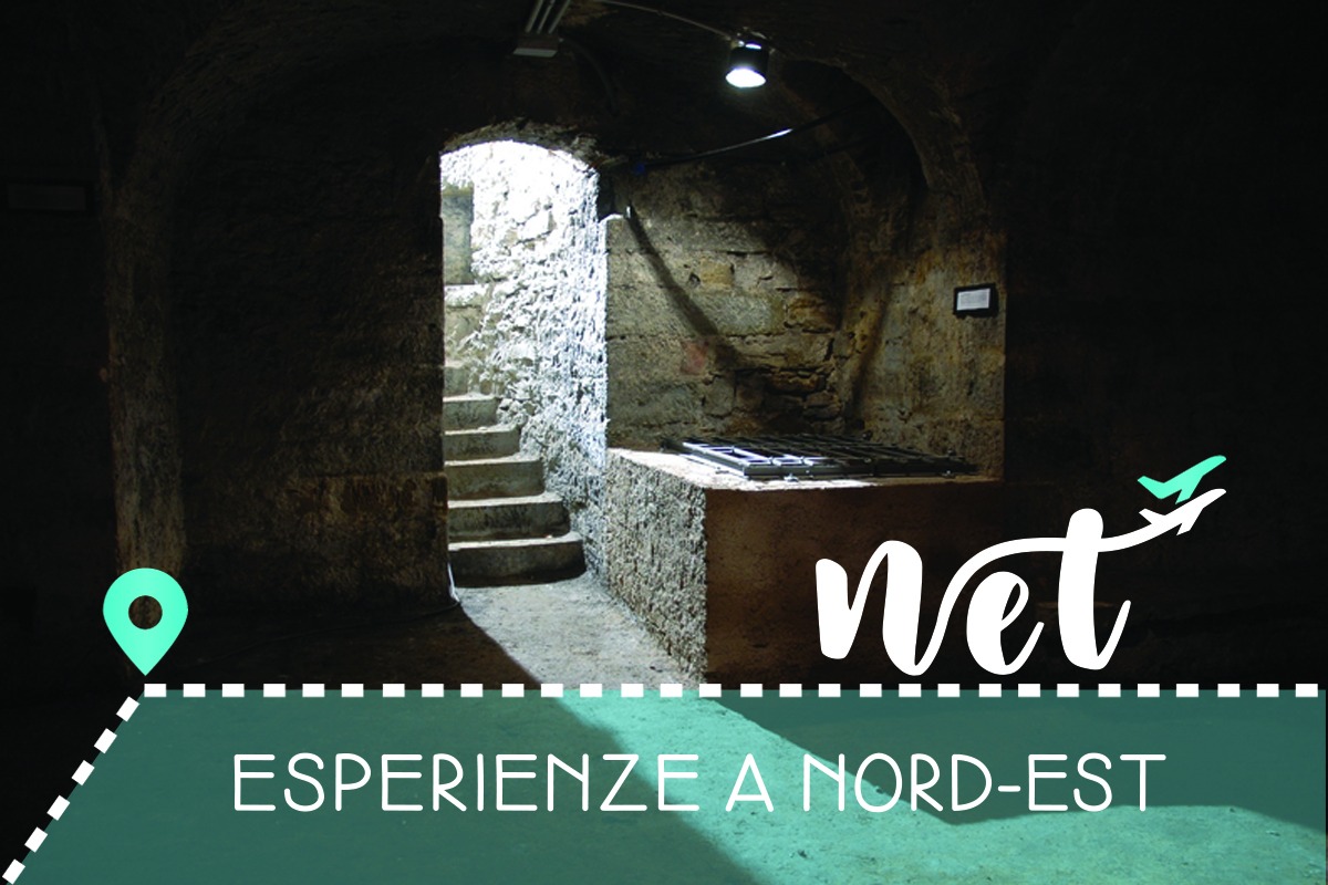 Arte nascosta a Trieste e i Sotterranei dei Gesuiti