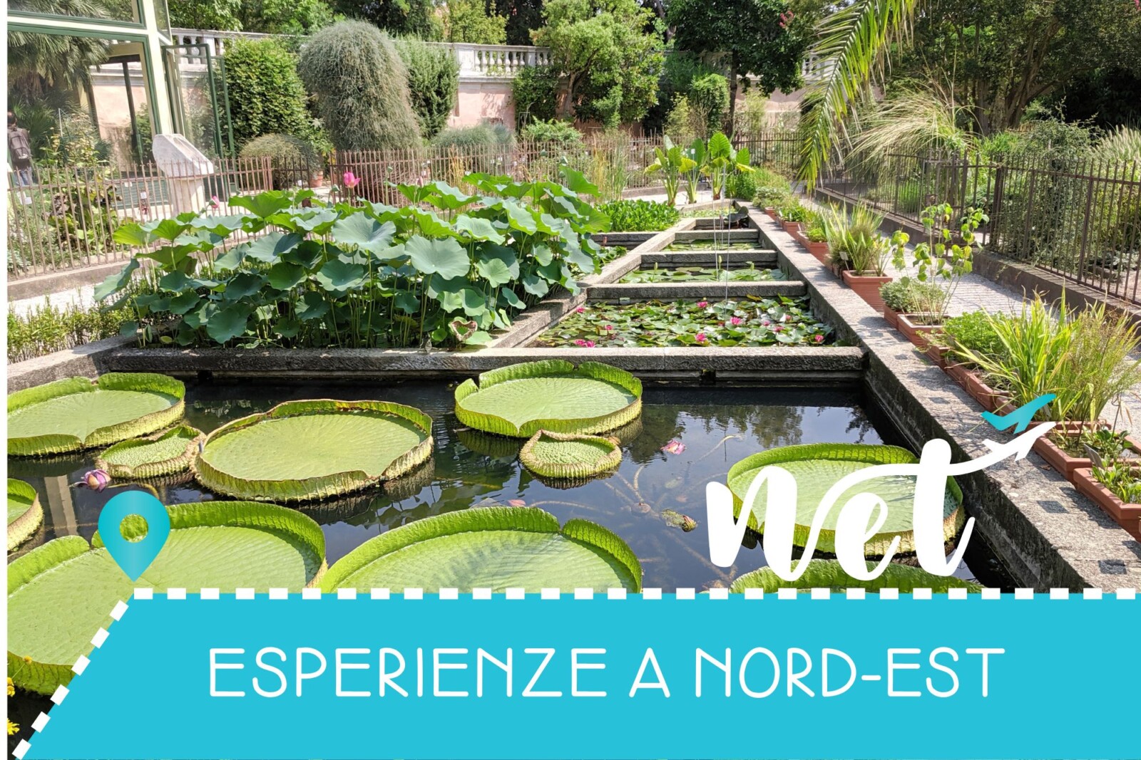PADOVA: DAL SANTO ALL’ORTO BOTANICO
